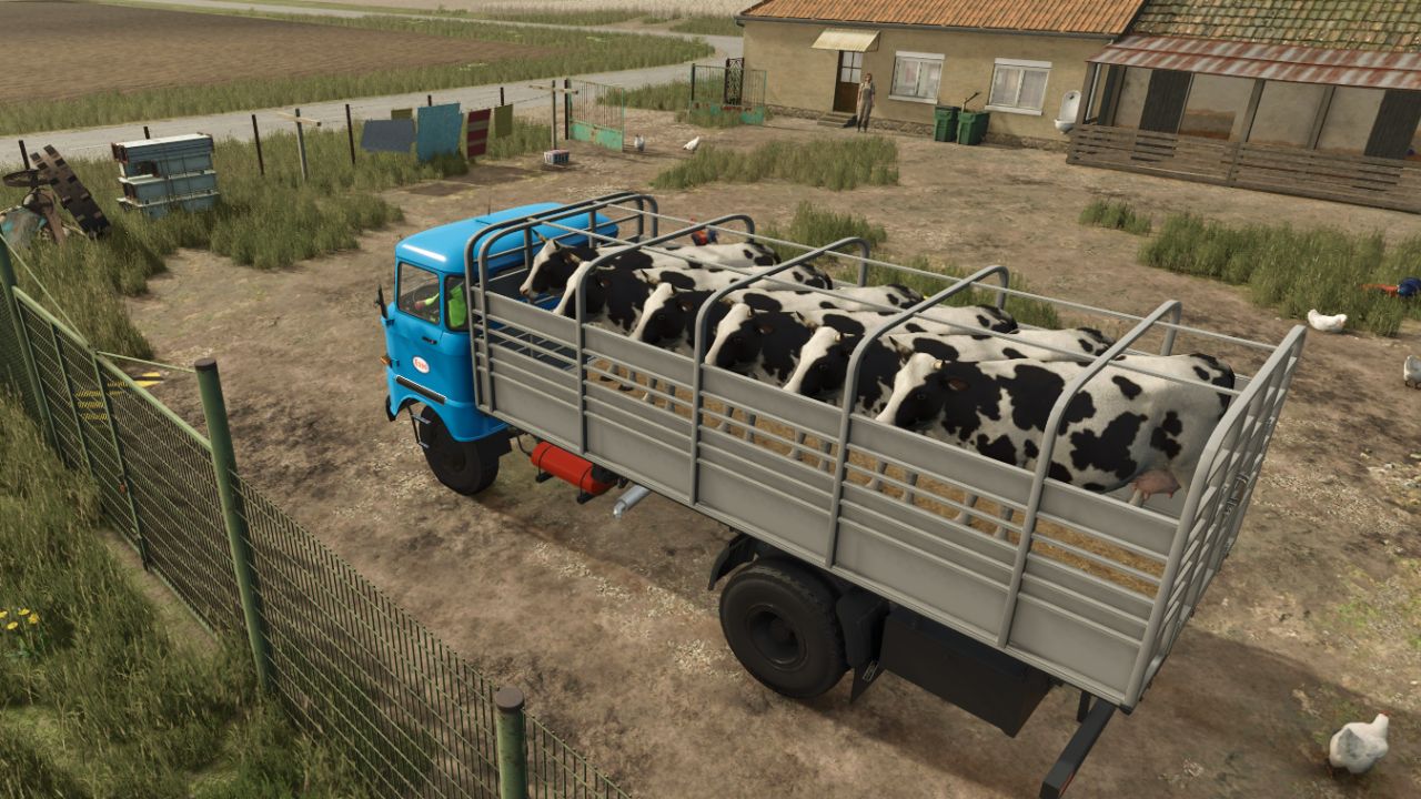 Transporte de animales IFA W50