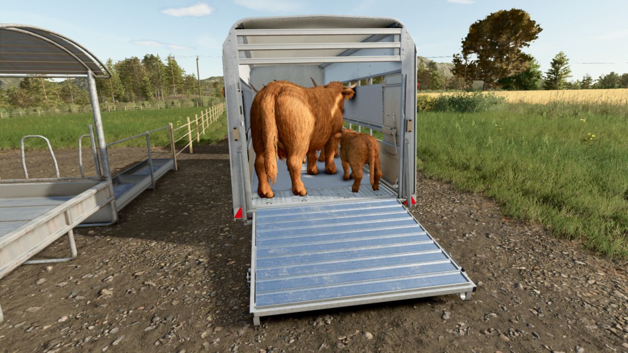 Ifor Williams TA510T