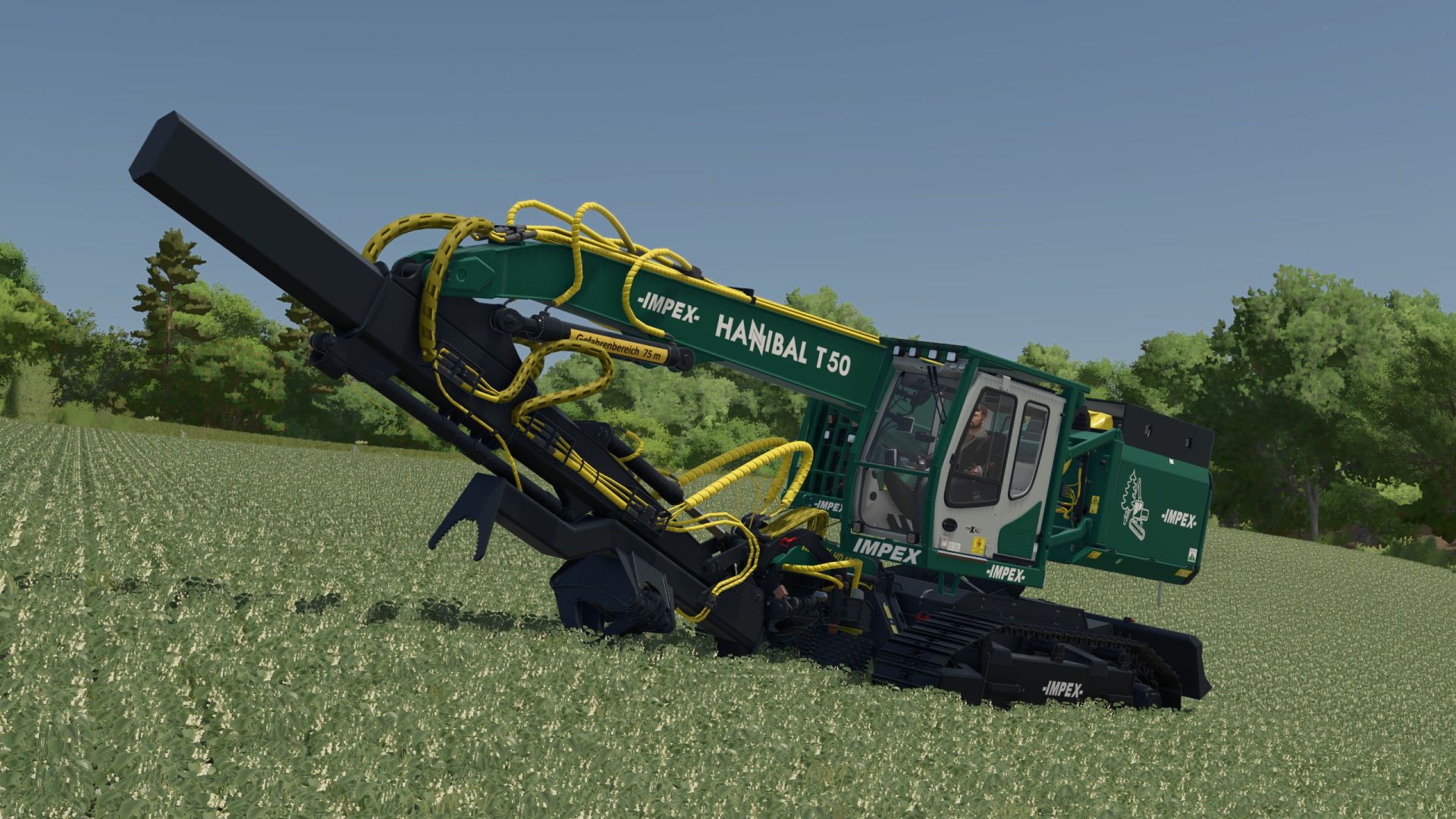 Impex Hannibal T50