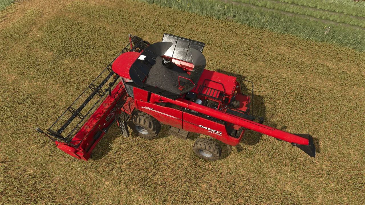 Improved rapeseed texture