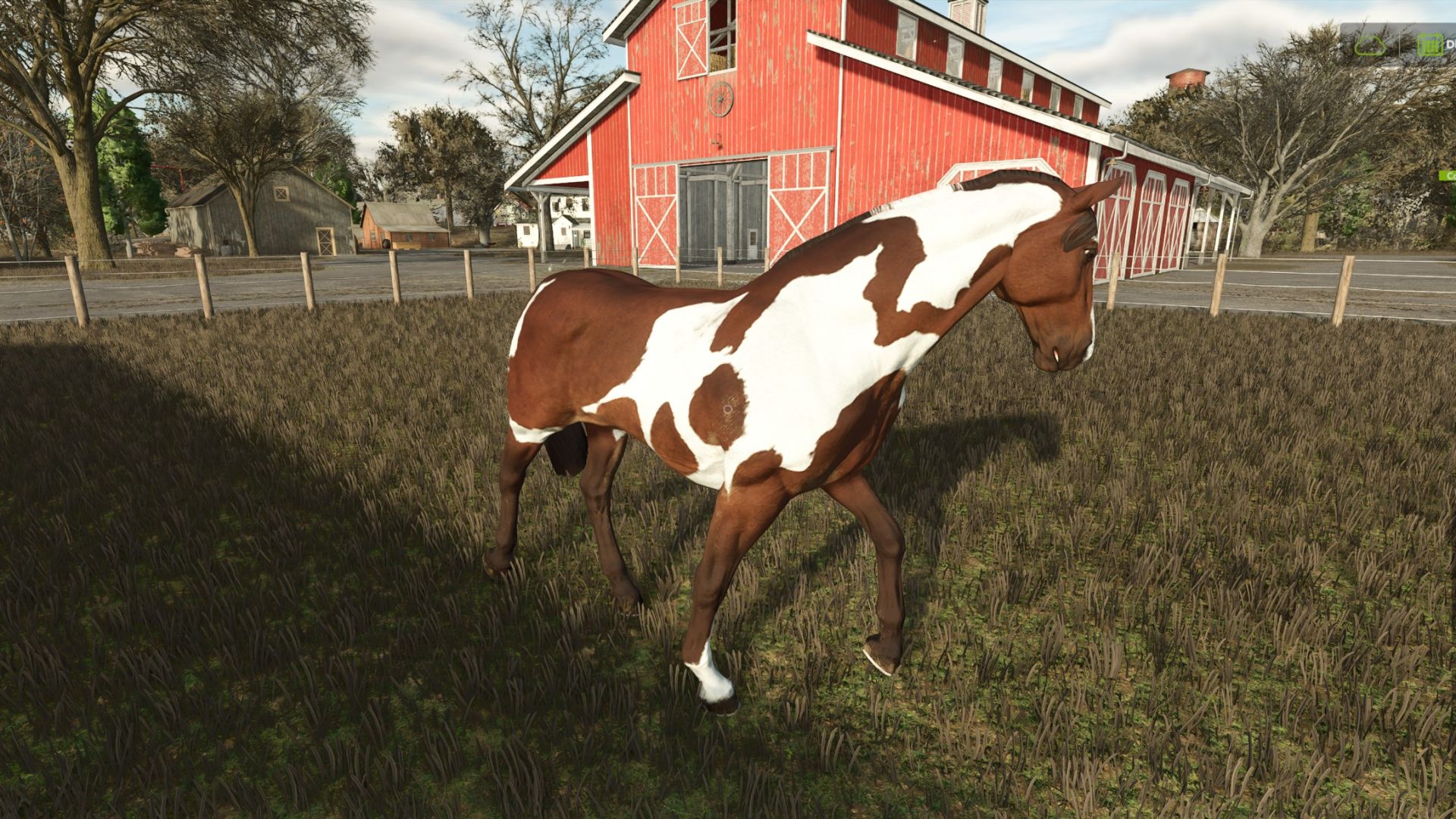 Increased value of the horse
