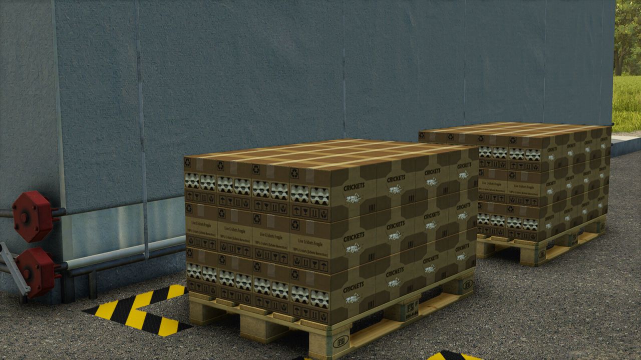 Produzione di insetti