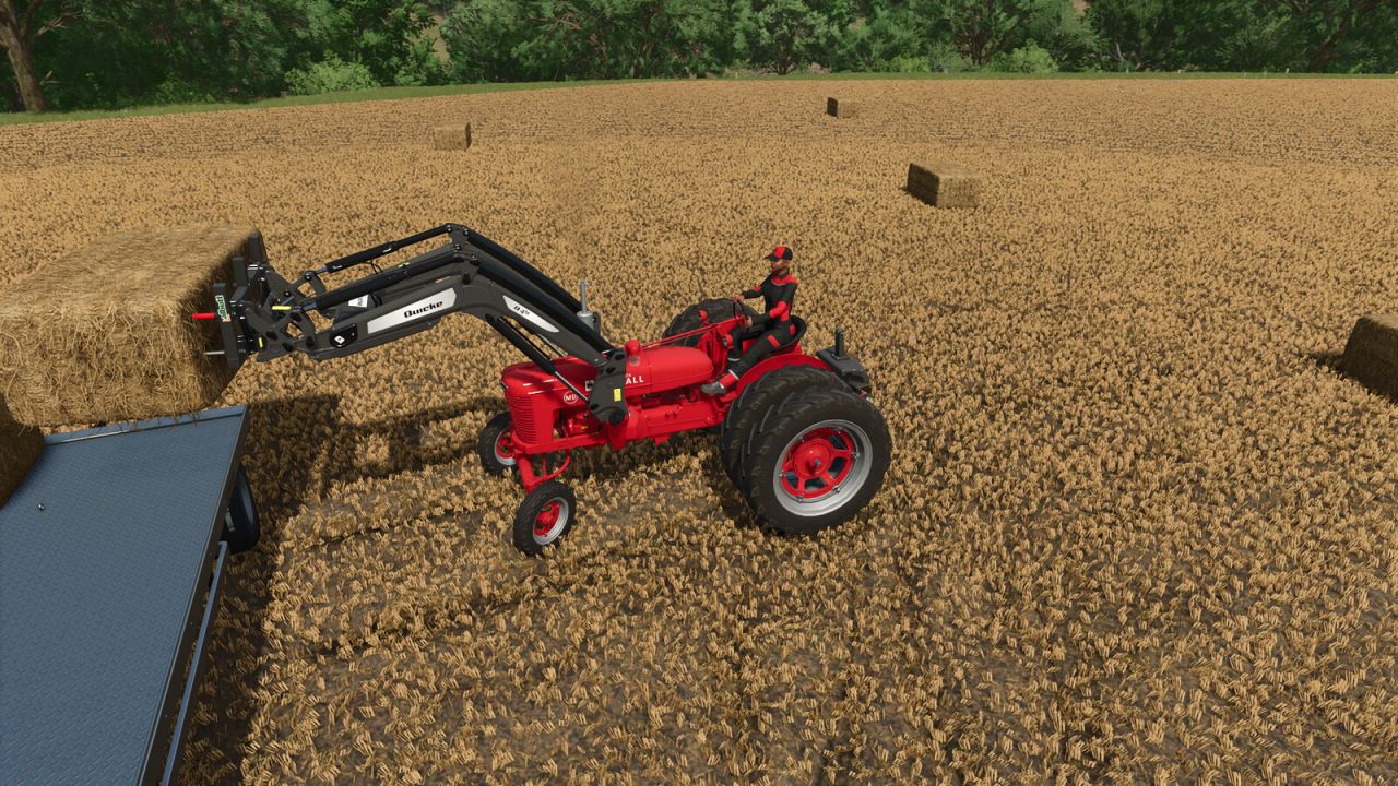 International Farmall M