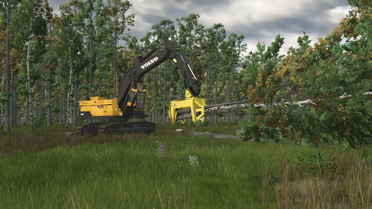 John Deere - FD55 Feller Buncher Head