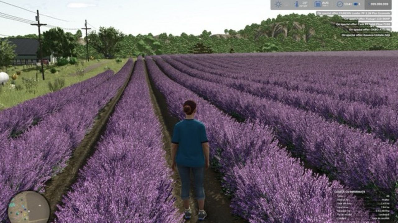 Judith Plains, Montana 4x Multifruit And Productions Edit