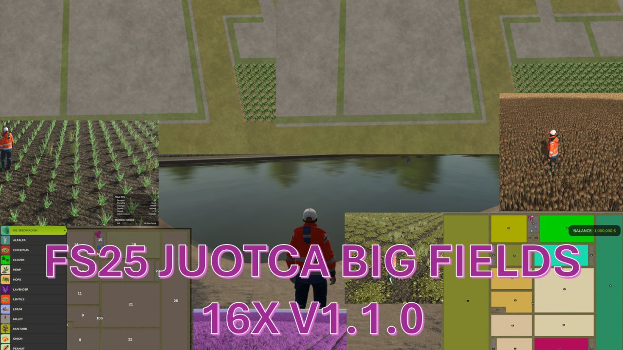 Juotca Big Fields 16X