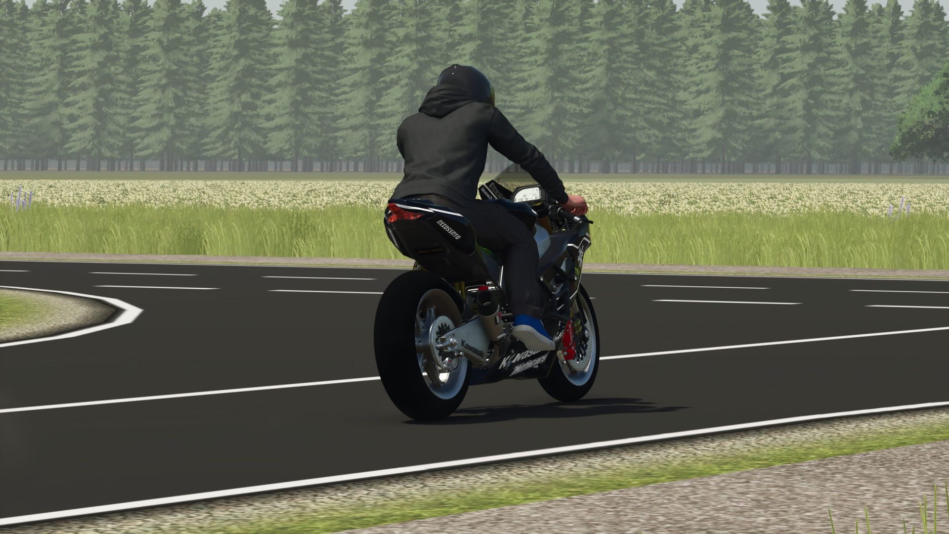 Kawasaki Ninja ZX-10R 2025