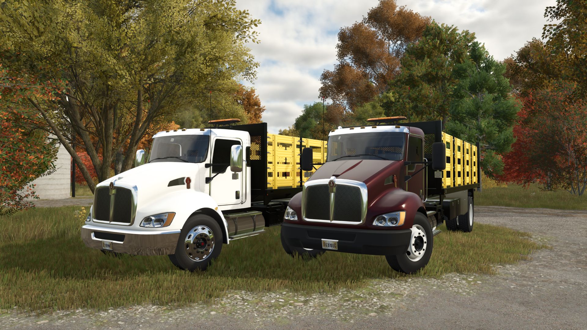Kenworth T370 z burtami