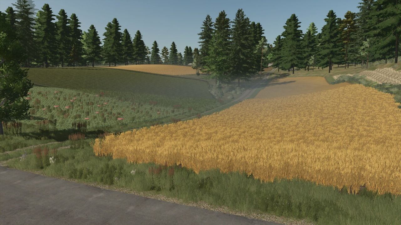 Kolonia 2026
