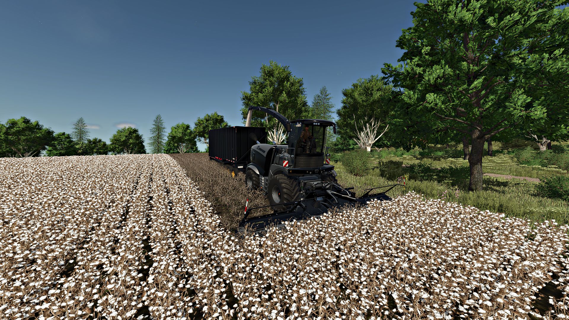Confezione di cotone Krone