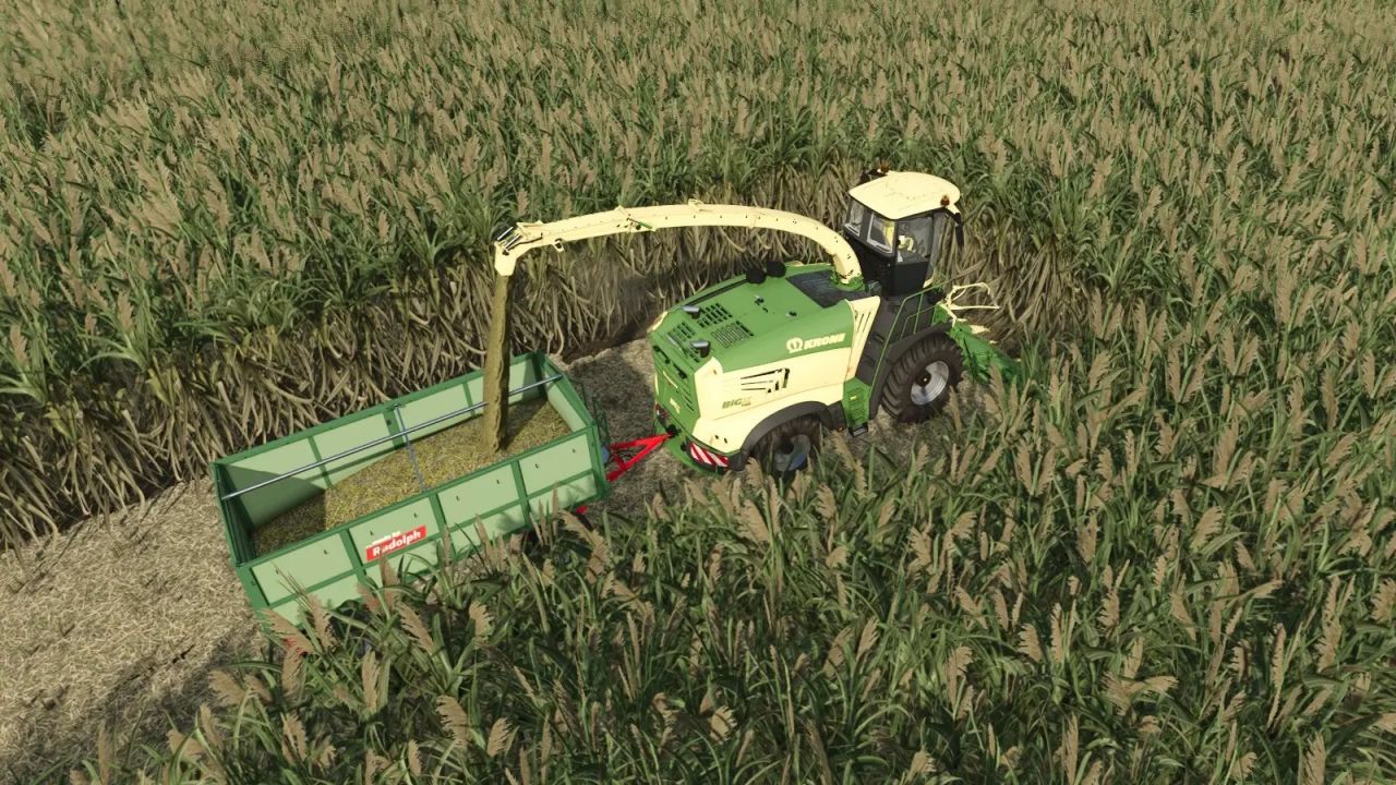 Krone X-Collect 900 per canna da zucchero e pioppi