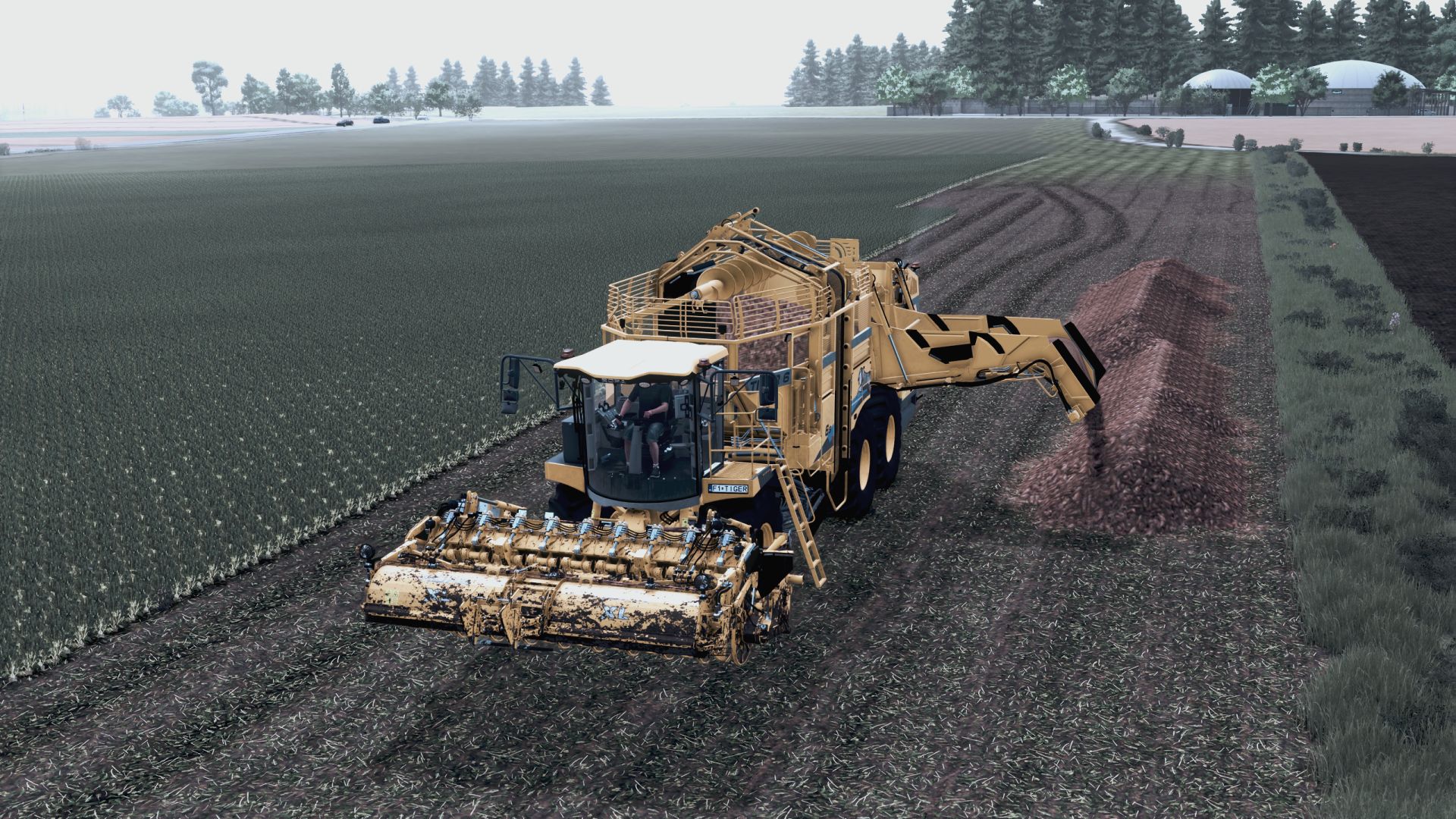 Krzychu- Realistic FS25 preset