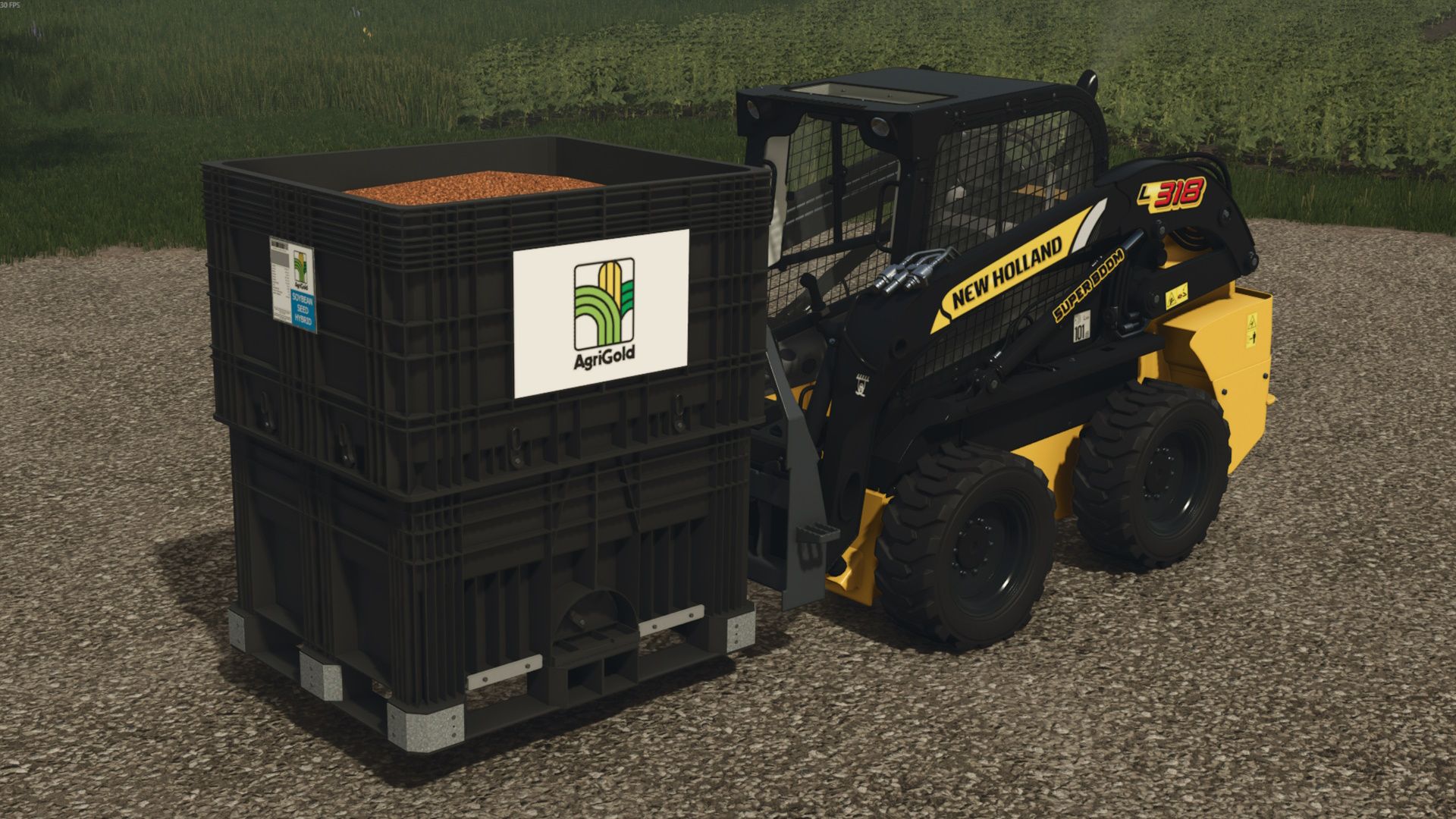 LAC Seed Pro Box Pack Standard Pricing