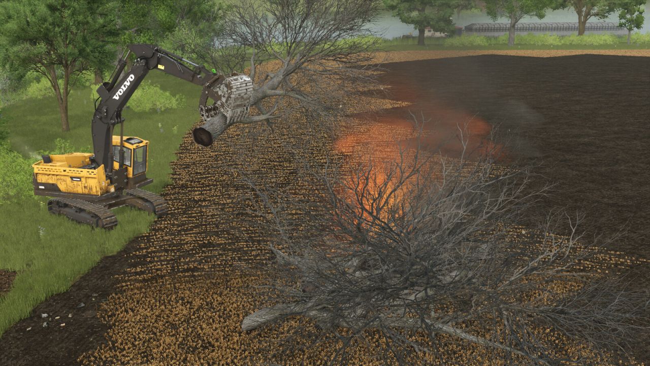 Disboscamento del terreno