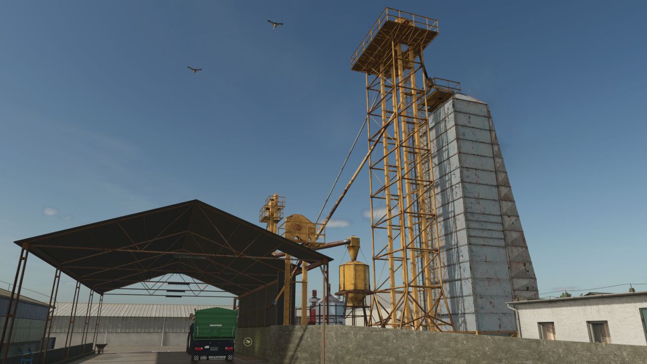 Grote graandrogers