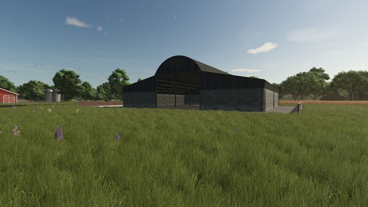 Large Shed