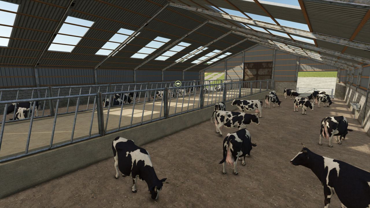 Large UK Indoor Cow Barn
