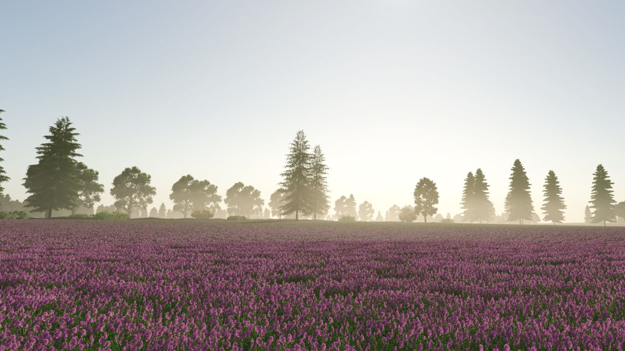 Lausitzer Landschaften 4x