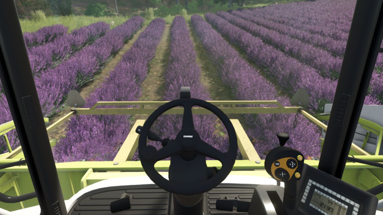 Lavanda in file (Prefab)