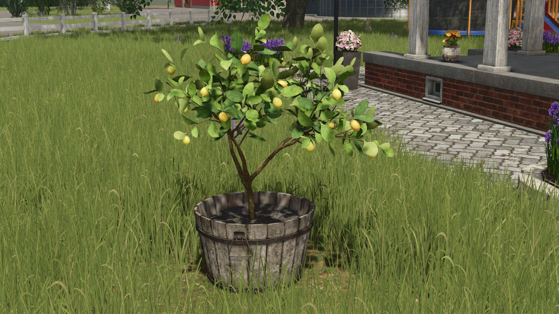 Lemon
