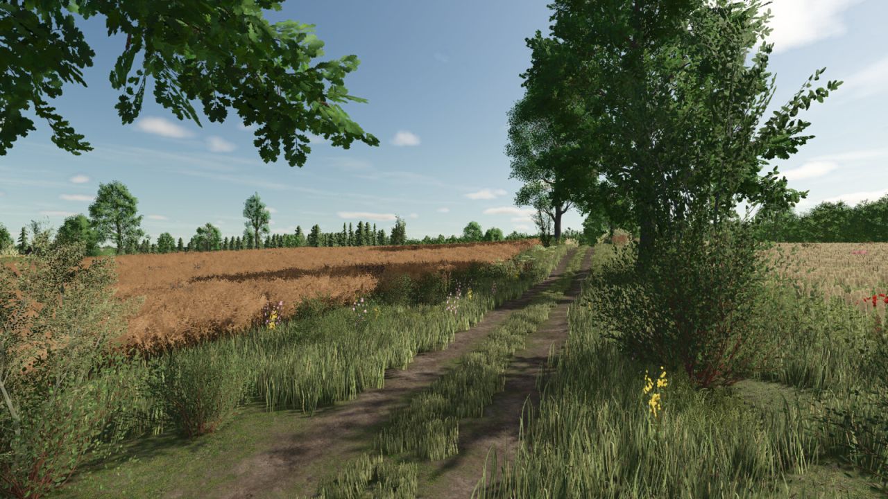 lipinki-fs25-GKTif Lipinki