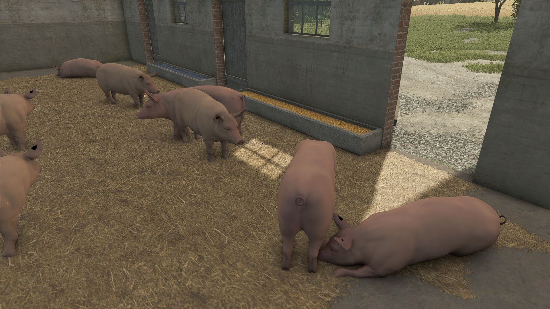 Kleiner Schweinestall