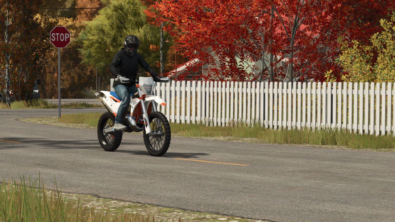 Lizard 350 EXCF