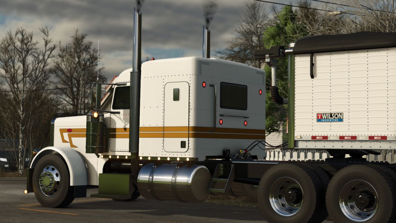Lizard 379