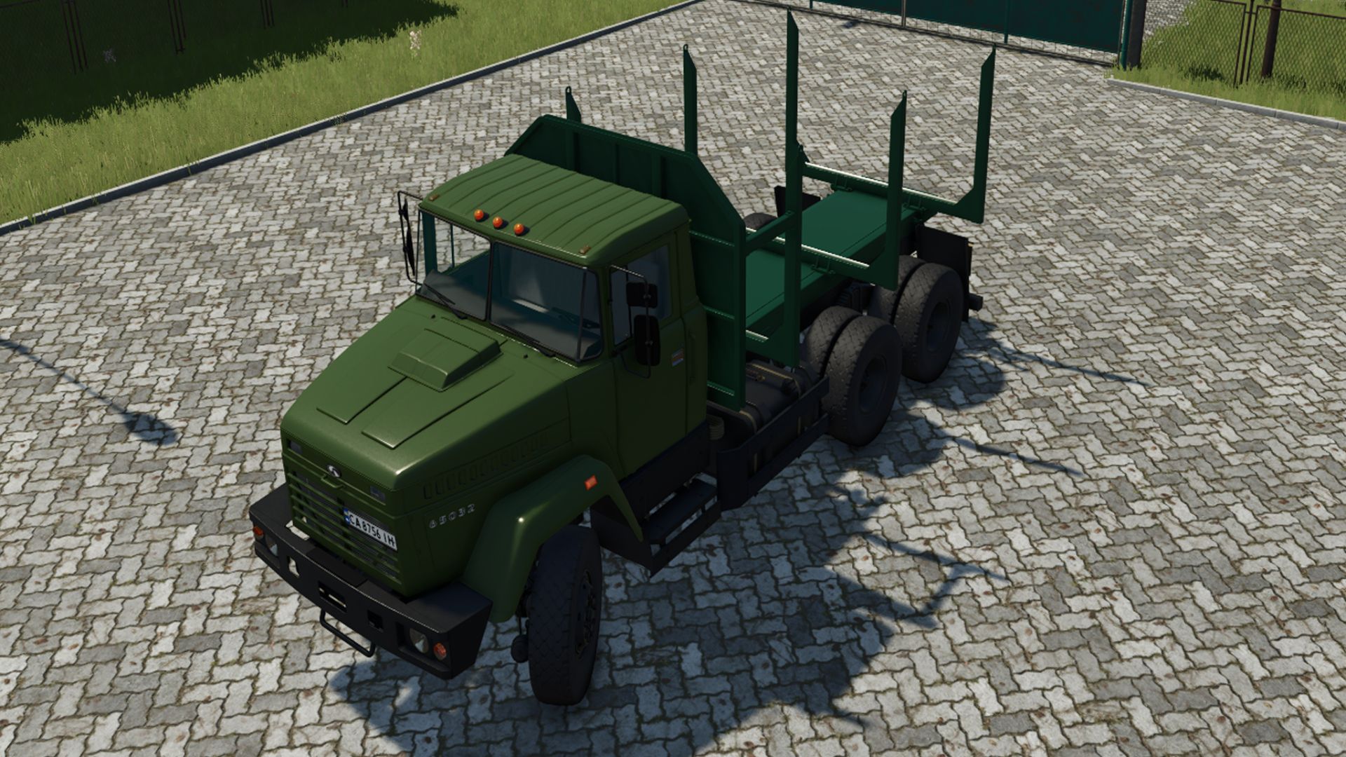 Lizard 65032