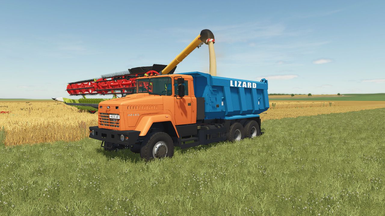 Lizard 65032