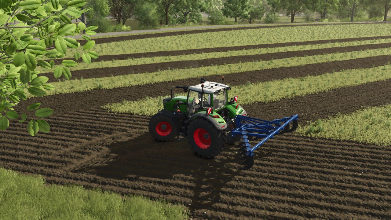 Lizard Agri 13