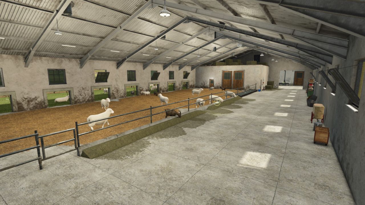 Hagedis dierenschuren