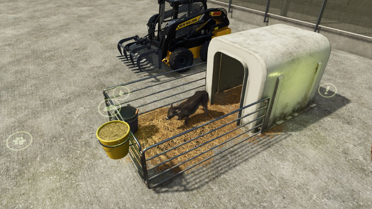 Capanne di vitello lucertola