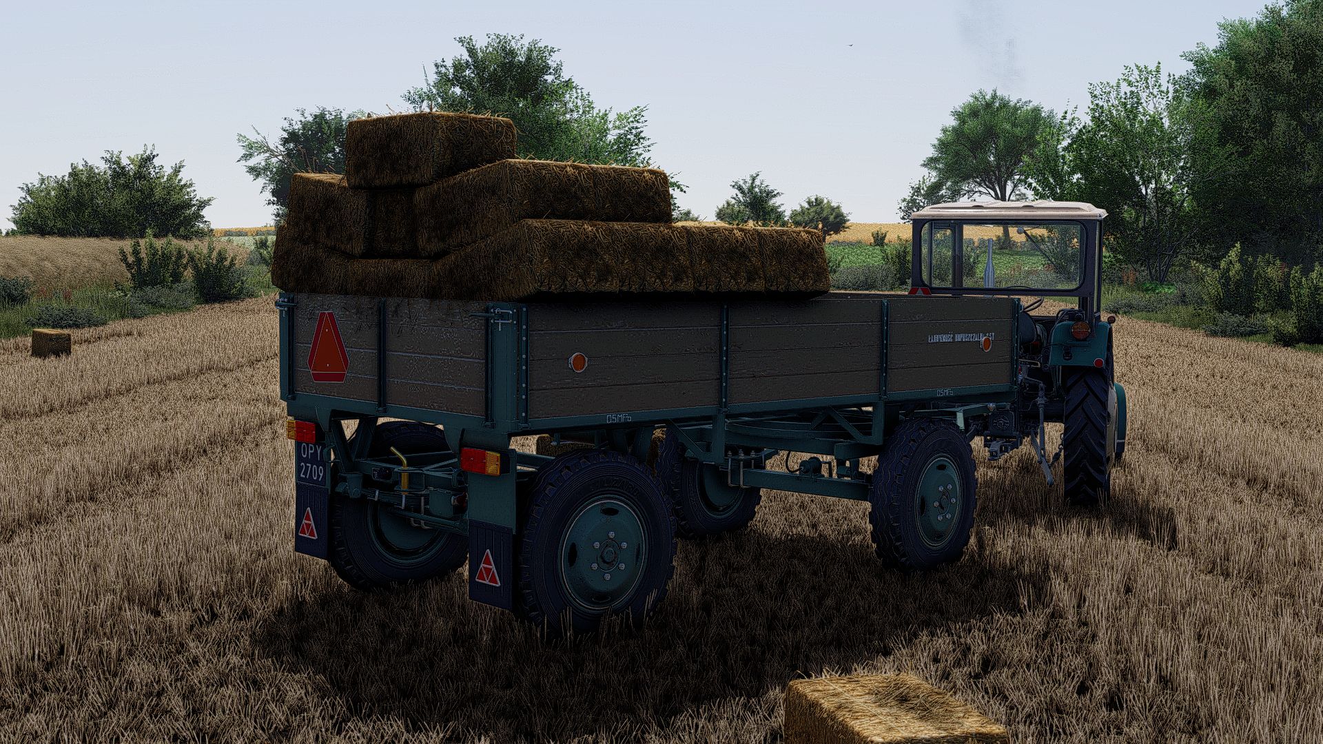 Lizard D44