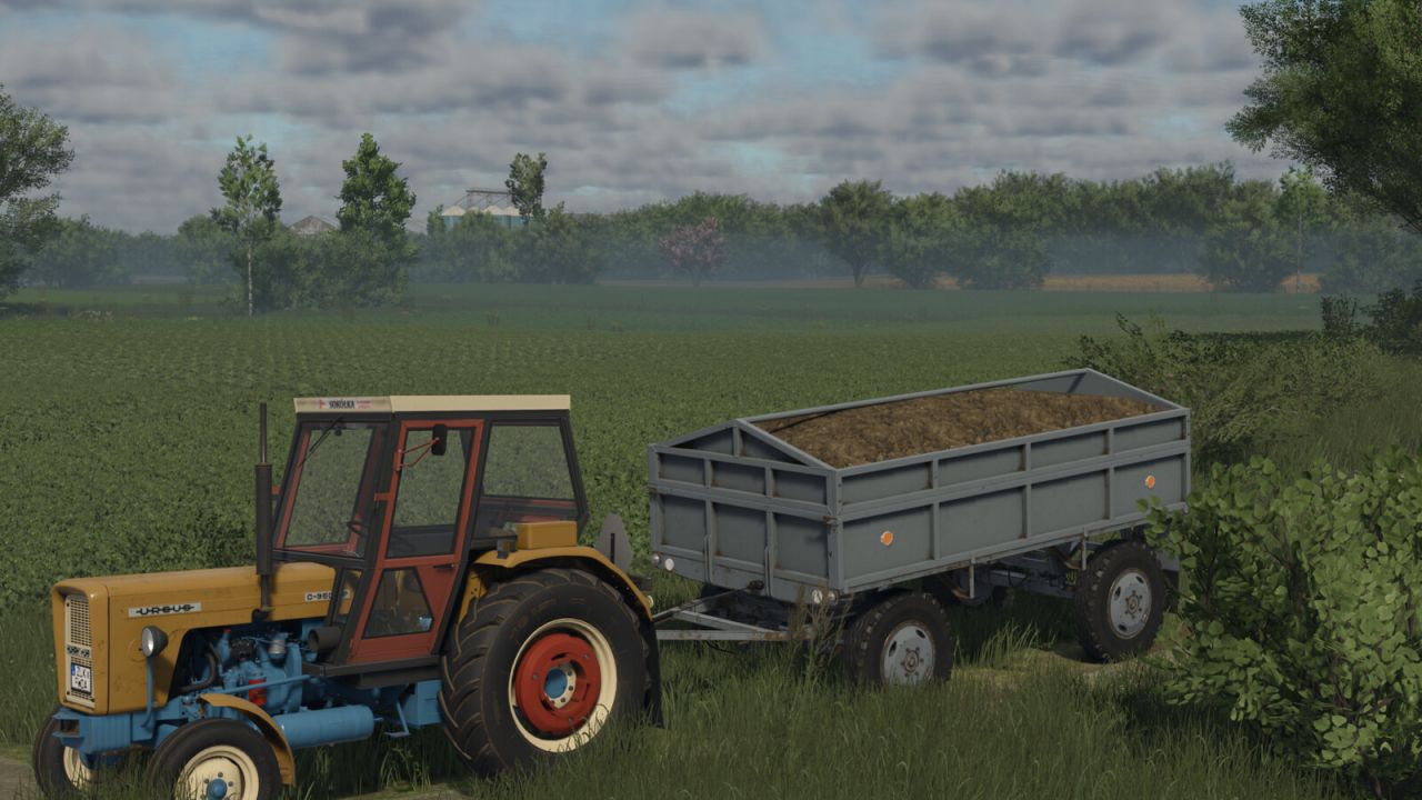 Lizard D44