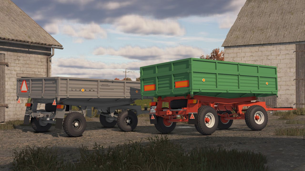 Lizard D47