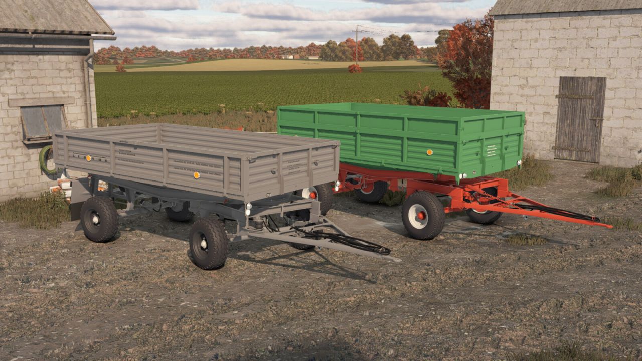 Lizard D47