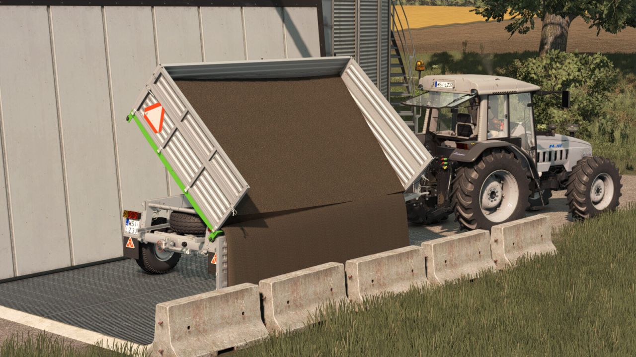 Lizard D47