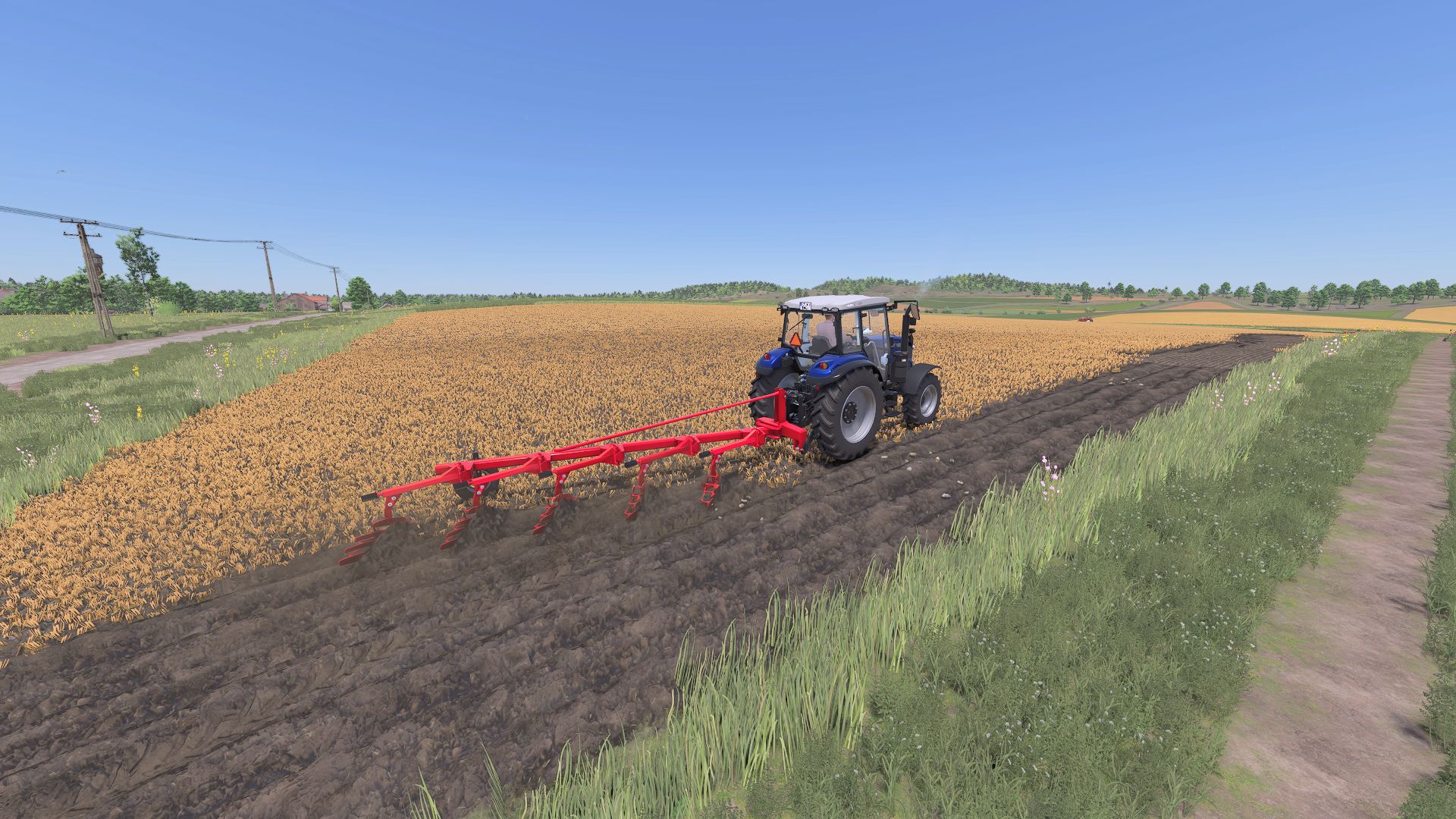 Lizard Famed 5 Spring Plow