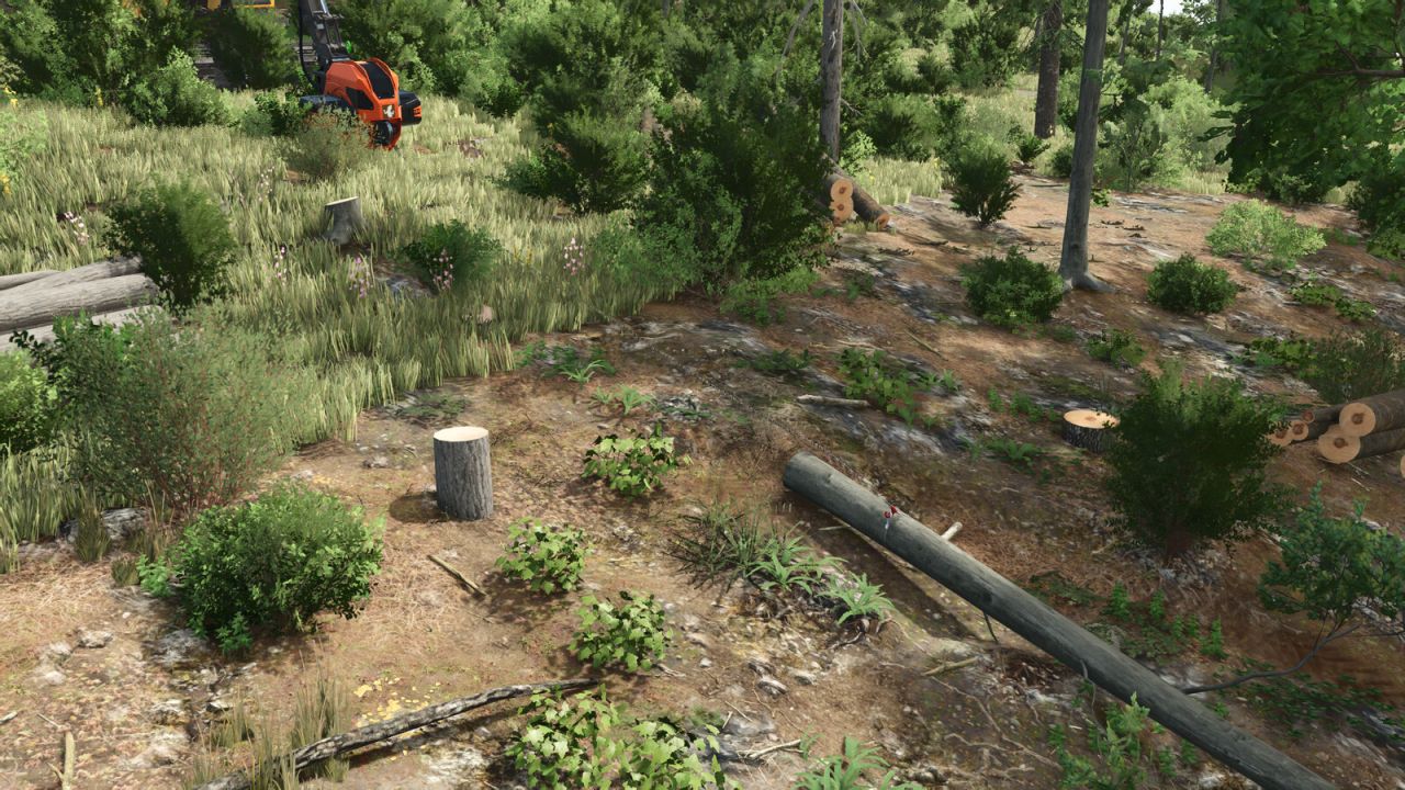 Lizard Forestry T20 Seilwinde