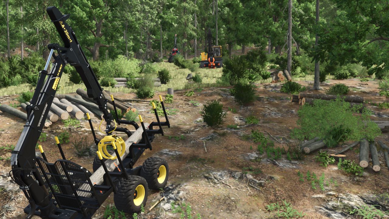 Lizard Forestry T20 Seilwinde