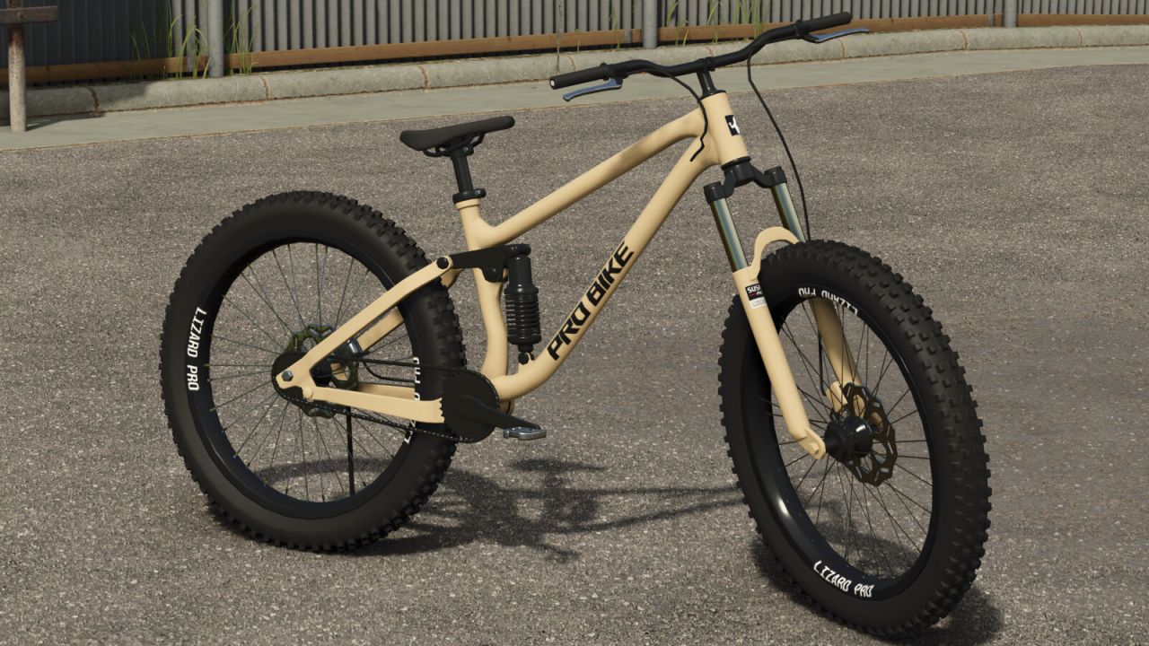 Lizard Mountain Bike