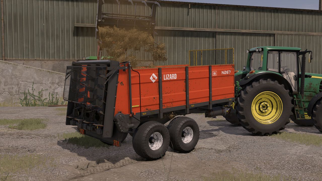 Lizard N267