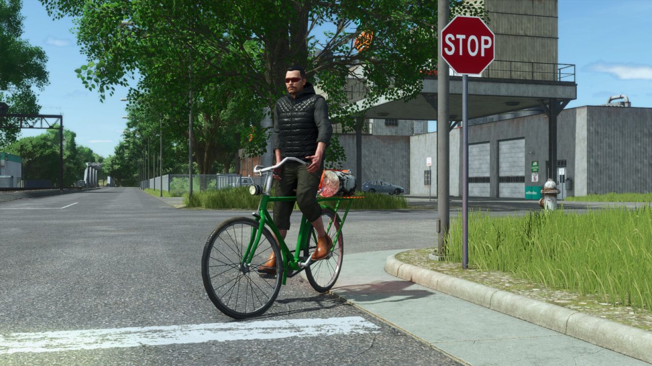 Hagedis oude fiets
