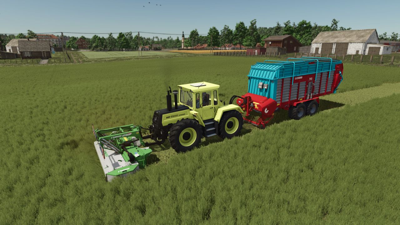 Lizard Rotant 743