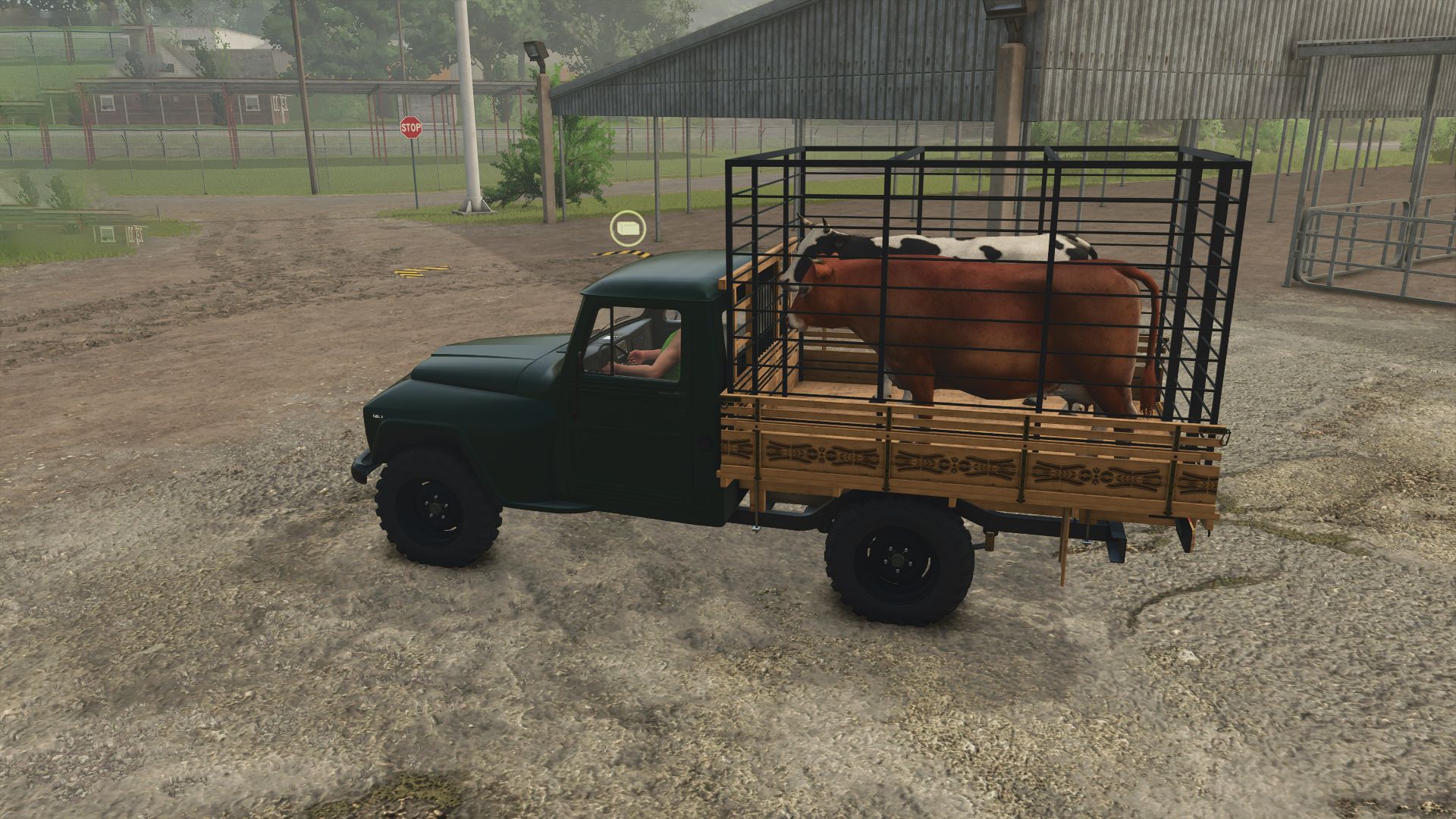 Lizard Rural F75