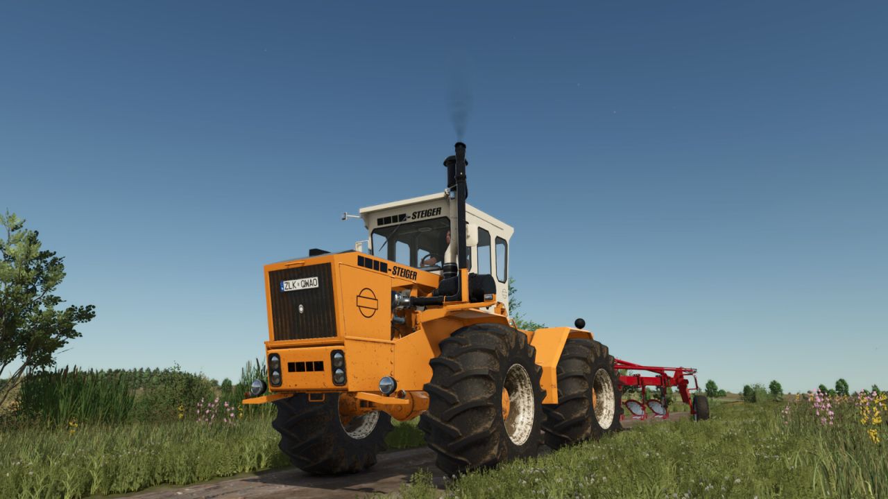 Lizard Steiger 250