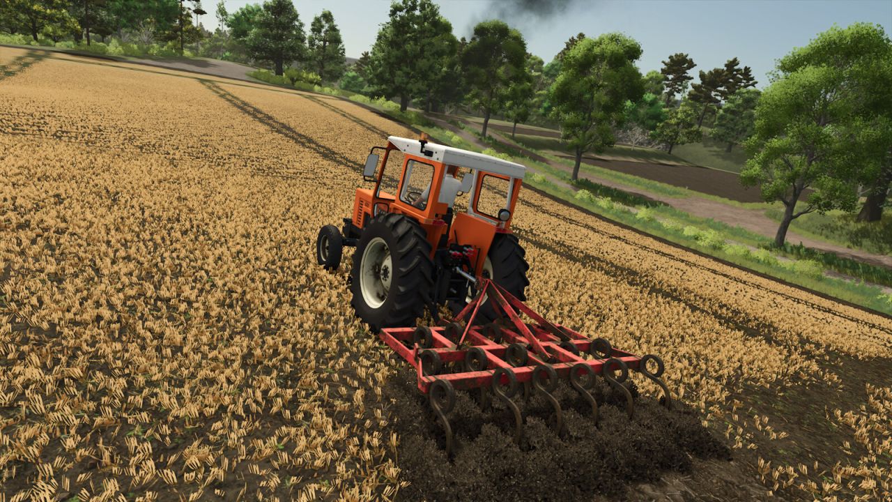 Lizard Tiller 17