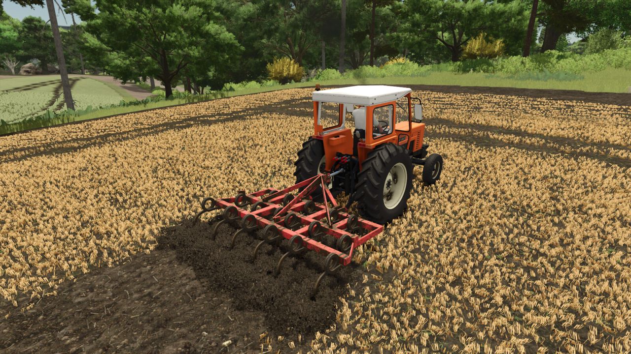 Lizard Tiller 17