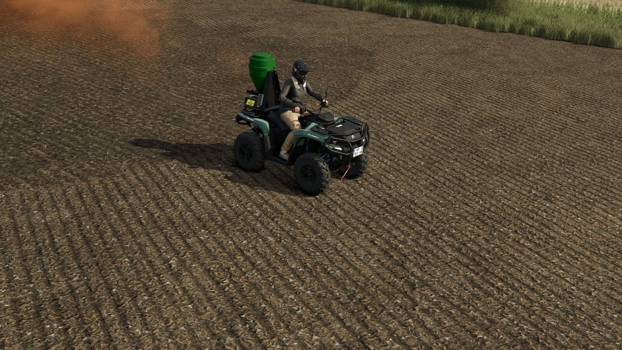 Lizard Type 24